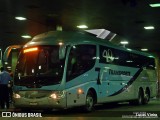 Transnorte - Transporte e Turismo Norte de Minas 84700 na cidade de Belo Horizonte, Minas Gerais, Brasil, por Lucas Vieira. Número da foto: #12537273.
