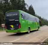 Pássaro Verde 23181 na cidade de Santa Bárbara, Minas Gerais, Brasil, por Edi Carlos Jr.. Número da foto: #12536709.