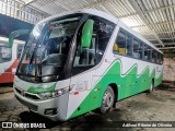 Bonanza Transportes 212357 na cidade de São Lourenço, Minas Gerais, Brasil, por Adilson Ribeiro de Oliveira. Número da foto: #12536602.