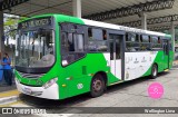 VB Transportes e Turismo 3110 na cidade de Campinas, São Paulo, Brasil, por Wellington Lima. Número da foto: #12540281.