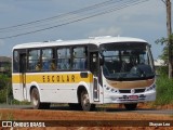 Linlex Transportes CE-14 na cidade de Gravataí, Rio Grande do Sul, Brasil, por Shayan Lee. Número da foto: #12539803.