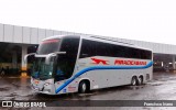 Viação Piracicabana 262401 na cidade de Ourinhos, São Paulo, Brasil, por Francisco Ivano. Número da foto: #12541307.