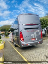 Paraibuna Transportes 22012 na cidade de Pedra Dourada, Minas Gerais, Brasil, por Victor Santos. Número da foto: #12538936.