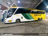 Empresa Gontijo de Transportes 19730 na cidade de Ipatinga, Minas Gerais, Brasil, por Celso ROTA381. Número da foto: #12541551.