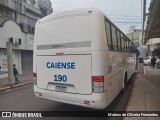 Empresa Caiense de Ônibus 190 na cidade de São Leopoldo, Rio Grande do Sul, Brasil, por Mateus de Oliveira Fernandes. Número da foto: #12541480.