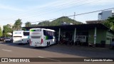 Planalto Transportes 1641 na cidade de Teutônia, Rio Grande do Sul, Brasil, por Osni Aparecido Martins. Número da foto: #12543170.
