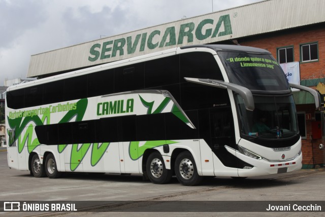 Caribeños  na cidade de Caxias do Sul, Rio Grande do Sul, Brasil, por Jovani Cecchin. Número da foto: #12547663.