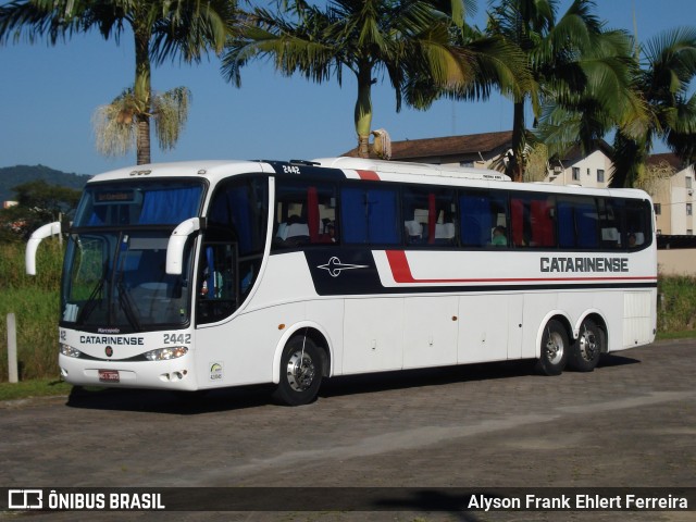 Auto Viação Catarinense 2442 na cidade de Jaraguá do Sul, Santa Catarina, Brasil, por Alyson Frank Ehlert Ferreira. Número da foto: #12545793.