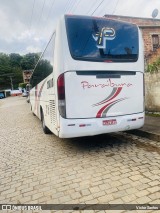 Paraibuna Transportes 20010 na cidade de Pedra Dourada, Minas Gerais, Brasil, por Victor Santos. Número da foto: #12547325.