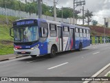 Transportes Capellini 33.115 na cidade de Campinas, São Paulo, Brasil, por Matheus Duarte Souza. Número da foto: #12545314.
