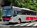 Transwolff Transportes e Turismo 7 8379 na cidade de São Paulo, São Paulo, Brasil, por César Ônibus. Número da foto: #:id.