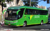 Pássaro Verde 1050 na cidade de Belo Horizonte, Minas Gerais, Brasil, por Andrey Gustavo. Número da foto: #:id.