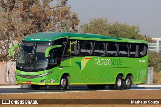 Pássaro Verde 19146 na cidade de Brasília, Distrito Federal, Brasil, por Matheus Souza. Número da foto: #12606033.