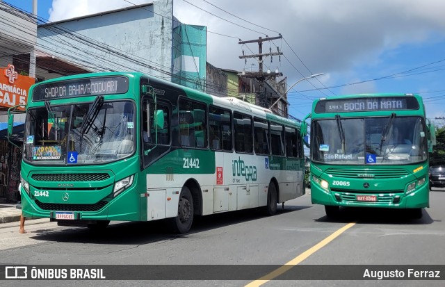 OT Trans - Ótima Salvador Transportes 21442 na cidade de Salvador, Bahia, Brasil, por Augusto Ferraz. Número da foto: #12603642.