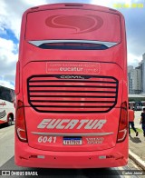 Eucatur - Empresa União Cascavel de Transportes e Turismo 6041 na cidade de Barueri, São Paulo, Brasil, por Carlos Júnior. Número da foto: #12605486.