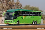 Pássaro Verde 19146 na cidade de Brasília, Distrito Federal, Brasil, por Matheus Souza. Número da foto: #:id.