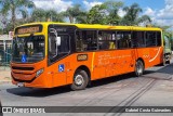 Transrosa 1711 na cidade de Lagoa Santa, Minas Gerais, Brasil, por Gabriel Costa Guimarães. Número da foto: #12606433.