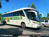 Empresa Gontijo de Transportes 21290 na cidade de Ipatinga, Minas Gerais, Brasil, por Celso ROTA381. Número da foto: #12603901.