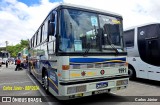 Vip Bus Comércio de Ônibus 1991 na cidade de Barueri, São Paulo, Brasil, por Carlos Júnior. Número da foto: #12606554.