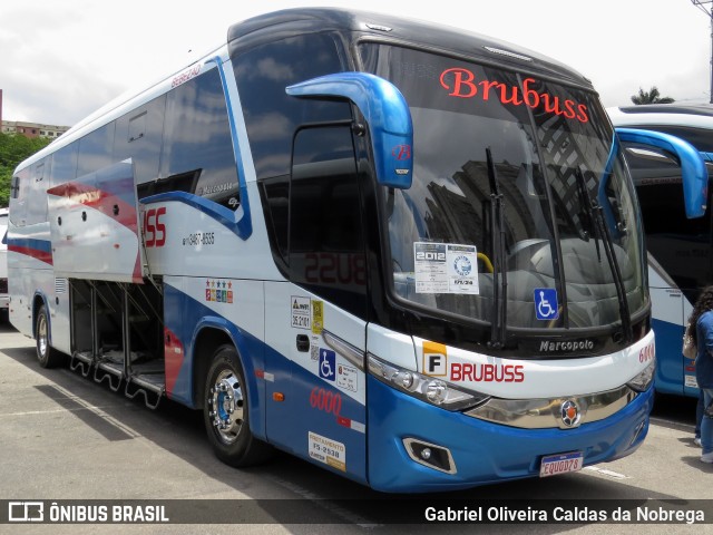 Brubuss Transportes 6000 na cidade de Barueri, São Paulo, Brasil, por Gabriel Oliveira Caldas da Nobrega. Número da foto: #12632582.