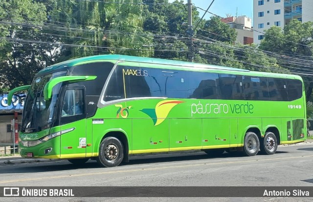 Pássaro Verde 19149 na cidade de Viçosa, Minas Gerais, Brasil, por Antonio Silva. Número da foto: #12632929.