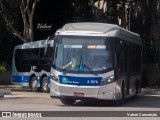 Sambaíba Transportes Urbanos 2 1576 na cidade de São Paulo, São Paulo, Brasil, por Valnei Conceição. Número da foto: #12634056.