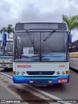 Brubuss Transportes 100 na cidade de Barueri, São Paulo, Brasil, por Sérgiane Gisele da Silva. Número da foto: #12632077.
