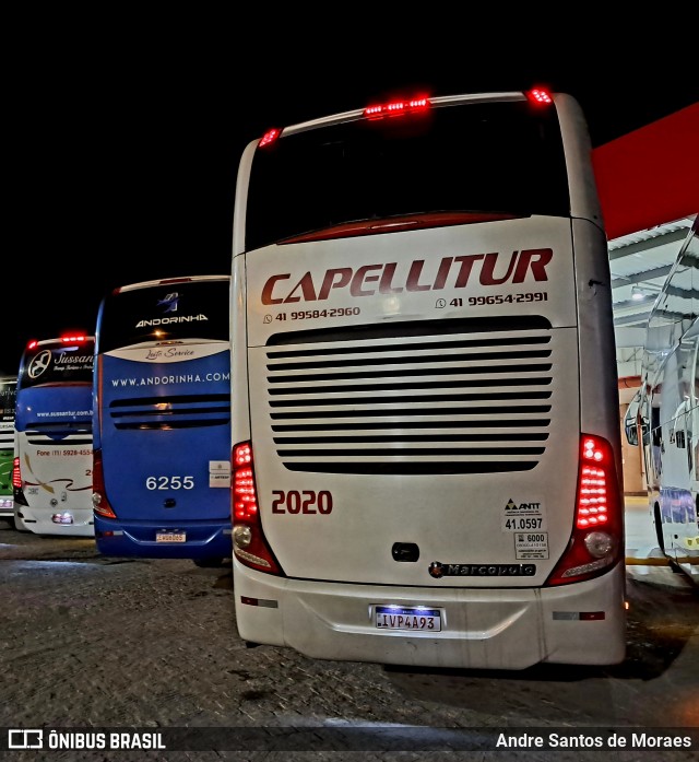 Capellitur 2020 na cidade de Registro, São Paulo, Brasil, por Andre Santos de Moraes. Número da foto: #12638104.