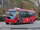 Metrobus WS56 na cidade de Bromley, Greater London, Inglaterra, por Fábio Takahashi Tanniguchi. Número da foto: #12639471.