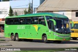 Pássaro Verde 11102 na cidade de Manhumirim, Minas Gerais, Brasil, por Lucas Oliveira. Número da foto: #12639279.