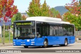 Auto Viação Feirense 13658 na cidade de Gondomar, Porto, Portugal, por Leandro Machado de Castro. Número da foto: #12638510.