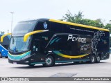 Pevidor Transportes P-20102340 na cidade de Goiânia, Goiás, Brasil, por Carlos Daniel Moreira Batista. Número da foto: #12642147.
