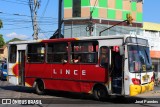 Lince 62 na cidade de Ñemby, Central, Paraguai, por José Paredes. Número da foto: #12642111.