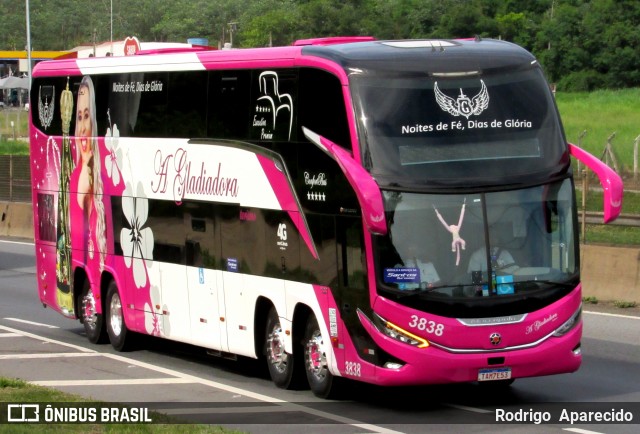 A Gladiadora Turismo 3838 na cidade de Aparecida, São Paulo, Brasil, por Rodrigo  Aparecido. Número da foto: #12644535.