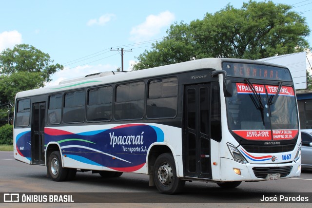 Ypacarai Transporte S.A. - Línea 242 1667 na cidade de Ypacaraí, Central, Paraguai, por José Paredes. Número da foto: #12642710.