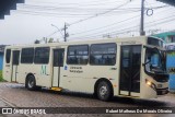 Viação Antonina 24290 na cidade de Almirante Tamandaré, Paraná, Brasil, por Robert Matheus De Morais Oliveira. Número da foto: #12642893.