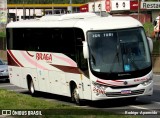 Braga Turismo 2496 na cidade de Aparecida, São Paulo, Brasil, por Rodrigo  Aparecido. Número da foto: #12644529.