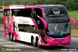 A Gladiadora Turismo 3838 na cidade de Aparecida, São Paulo, Brasil, por Rodrigo  Aparecido. Número da foto: #12644535.