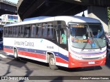 Empresa de Transportes Limousine Carioca RJ 129.053 na cidade de Rio de Janeiro, Rio de Janeiro, Brasil, por Gabriel Petersen Gomes. Número da foto: #12645449.