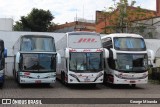 Eucatur - Empresa União Cascavel de Transportes e Turismo 4419 na cidade de São Paulo, São Paulo, Brasil, por George Miranda. Número da foto: #:id.