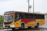 TLGSA - Transporte Loma Grande S.A. - Línea 132 > Transporte LomaGrandense S.A. 029 na cidade de Caacupé, Cordillera, Paraguai, por José Paredes. Número da foto: #12644298.