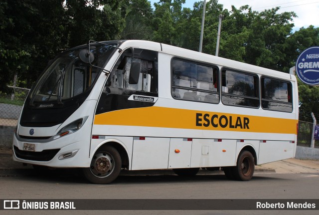 Escolares 9544 na cidade de Marília, São Paulo, Brasil, por Roberto Mendes. Número da foto: #12647663.