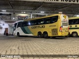 Empresa Gontijo de Transportes 21460 na cidade de Ipatinga, Minas Gerais, Brasil, por Filipe Sousa. Número da foto: #12645755.
