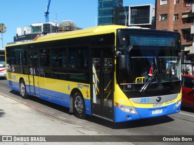 UCOT - Union Cooperativa Obrera de Transporte 263 na cidade de Montevideo, Montevideo, Uruguai, por Osvaldo Born. Número da foto: #12649337.
