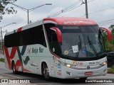 Beija Flor Turismo 5700 na cidade de Cotia, São Paulo, Brasil, por David Macedo Rocha. Número da foto: #12648035.