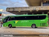 Pássaro Verde 19164 na cidade de Belo Horizonte, Minas Gerais, Brasil, por MAXI MORAIS. Número da foto: #12649996.