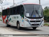 Beija Flor Turismo 8800 na cidade de Cotia, São Paulo, Brasil, por David Macedo Rocha. Número da foto: #12648038.
