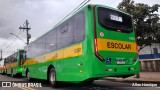 Transportes Capellini 12381 na cidade de Paulínia, São Paulo, Brasil, por Allan Henrique. Número da foto: #12650178.