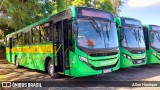 Transportes Capellini 32865 na cidade de Paulínia, São Paulo, Brasil, por Allan Henrique. Número da foto: #12650187.