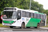 Bamonte Transportes 3 253 na cidade de Barra do Piraí, Rio de Janeiro, Brasil, por Paulo Henrique Pereira Borges. Número da foto: #12651304.